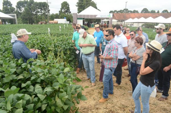 Difus&atilde;o de tecnologia e informa&ccedil;&atilde;o sobre as culturas de ver&atilde;o