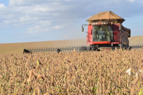 Colheita da safra de soja alcan&ccedil;a 91% da &aacute;rea e do milho 85%