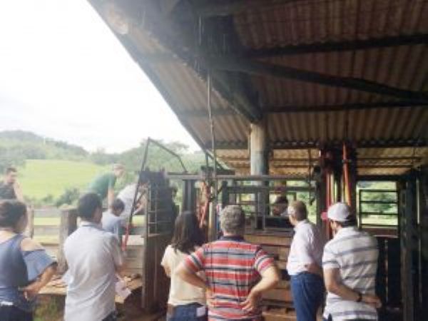 T&eacute;cnicos qualificados para turbinar a pecu&aacute;ria de corte estadual