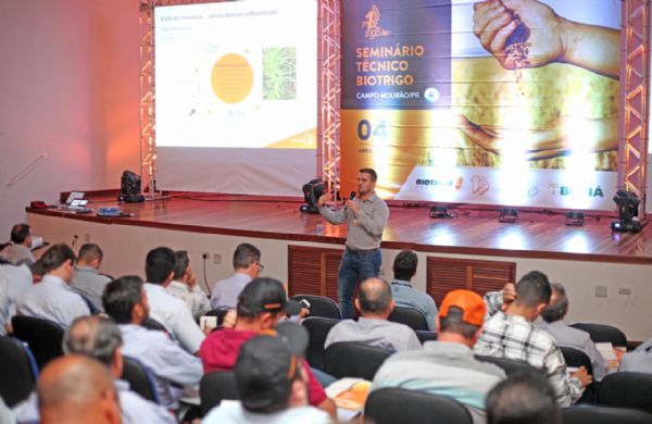Semin&aacute;rio traz op&ccedil;&otilde;es mais seguras para o cultivo do trigo
