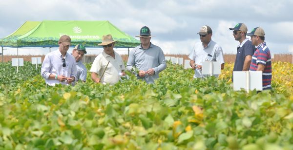 CTP: tecnologias para soja e milho 