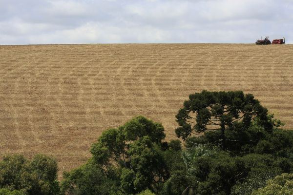 Pre&ccedil;os das commodities disparam no Paran&aacute; e compensam safra menor 