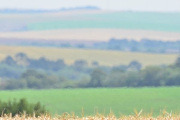 Contribui&ccedil;&atilde;o Sindical Rural vence dia 22 de maio