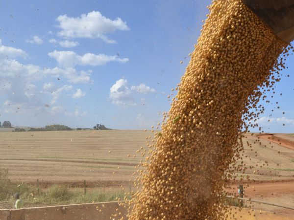 Banco do Brasil realiza Circuito Agro em Guarapuava