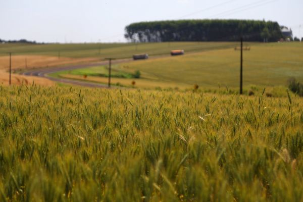 Paran&aacute; det&eacute;m maior &iacute;ndice de produtividade agr&iacute;cola