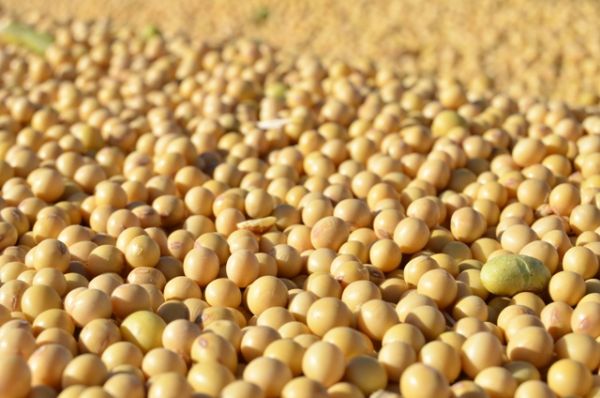 Gora participa da reuni&atilde;o da Comiss&atilde;o de Cereais da FAEP, dia 25 de junho