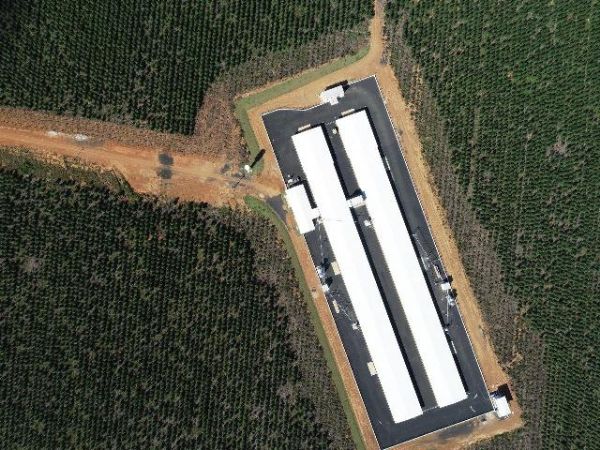 Aviagen investe R$ 100 milh&otilde;es no aumento da capacidade de granjas e incubat&oacute;rios no Brasil