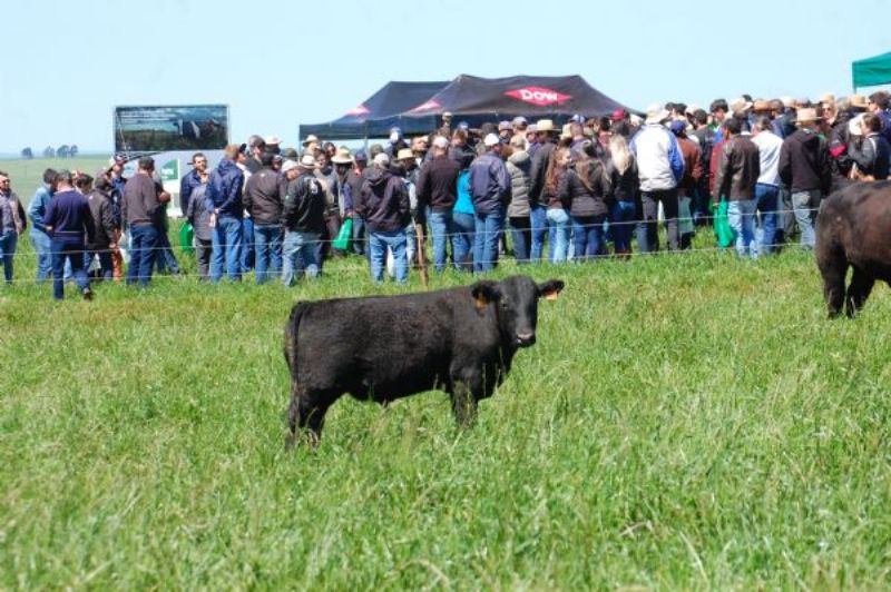 2º Dia de Campo Produção Integrada