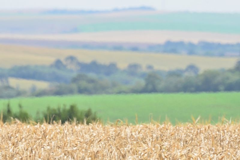 Termina dia 28 de setembro o prazo para declarar Imposto Territorial Rural (ITR) 