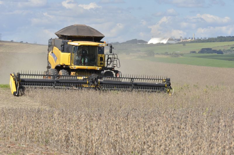 Safra de grãos do Paraná deve atingir 23,3 milhões de toneladas