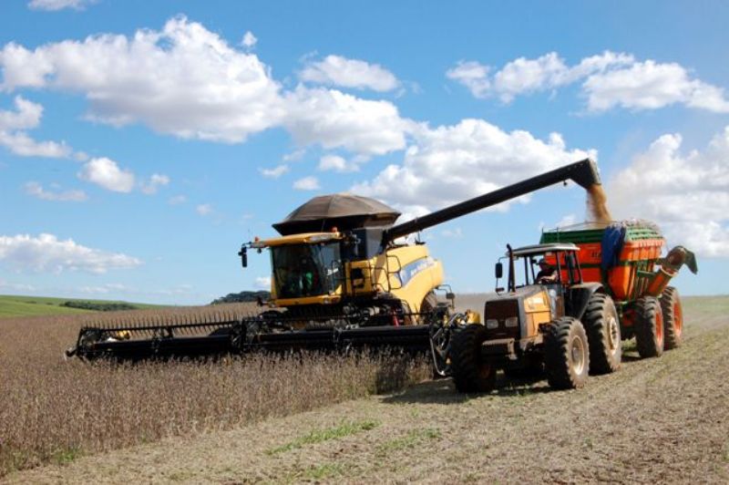 Paraná confirma produção de 23 milhões de toneladas de grãos
