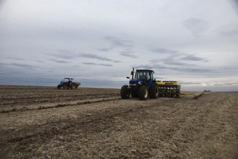 Chuva reduz qualidade da safra de inverno e atrapalha plantio da soja