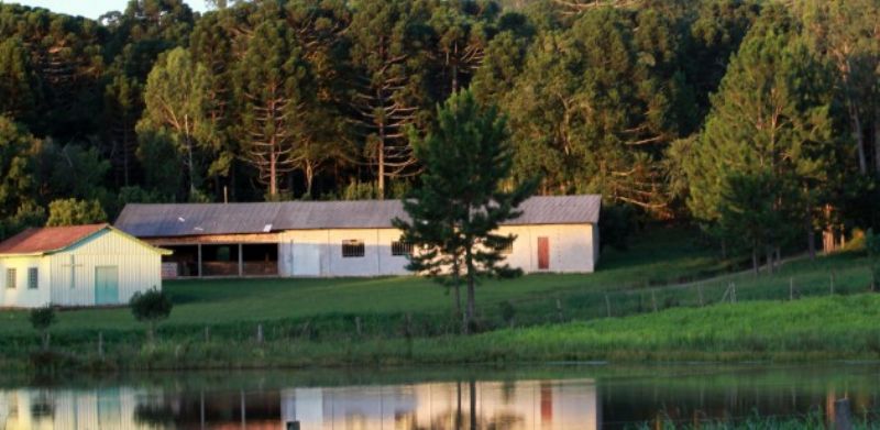 Governadora assina decreto de regulamentação ambiental em áreas rurais