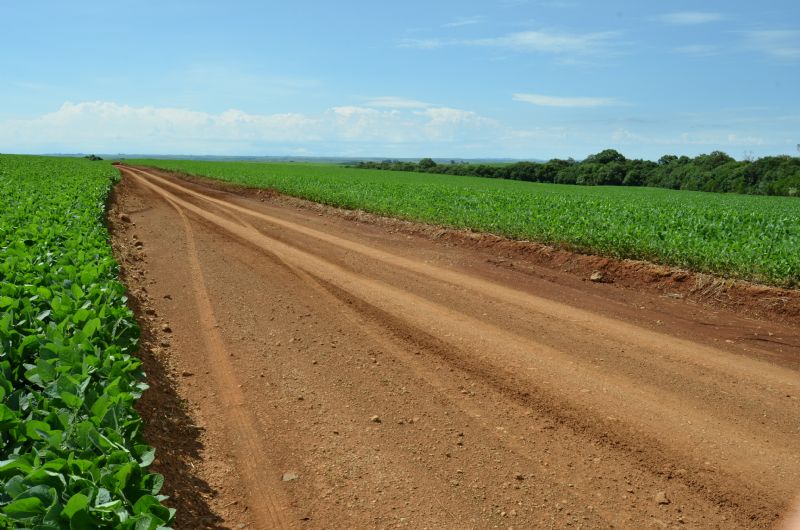 Ano novo: caminho de antigos e novos desafios