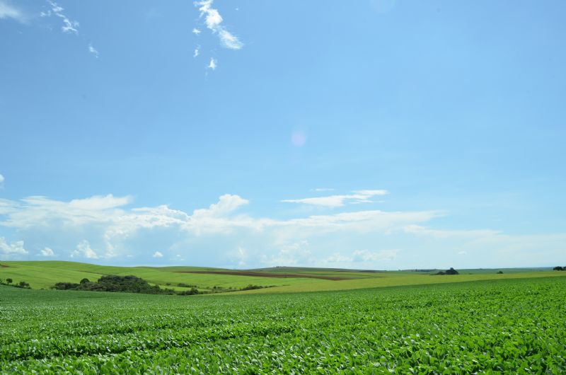 FAEP pede solução sobre a falta de crédito rural