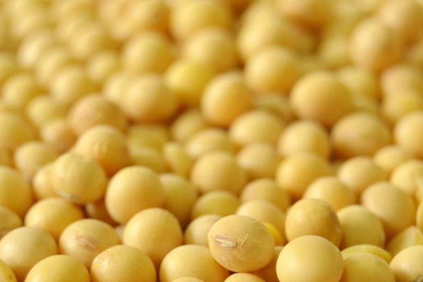 Palestra abordará comercialização e sucessão no agronegócio na quarta-feira (30)