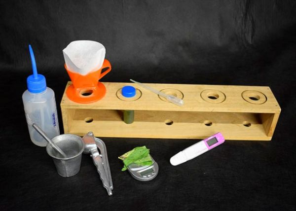 Pesquisa desenvolve método rápido para avaliar potássio em soja