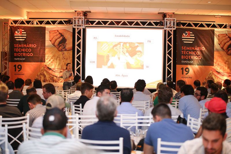 Cadeia produtiva discute novos rumos para o trigo paulista 