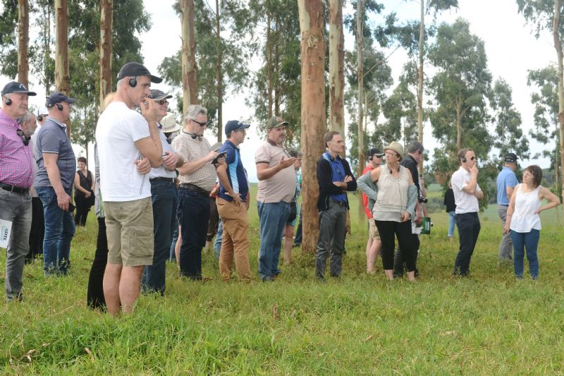 Franceses visitam propriedades rurais em Guarapuava