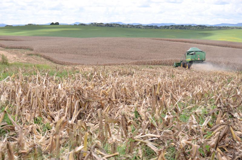 Terceirização no agronegócio vem ganhando espaço e mercado