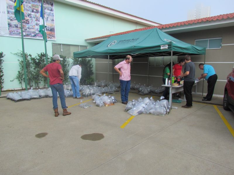 Em média, 30 mil alevinos foram entregues no Sindicato Rural nesta sexta-feira (26)