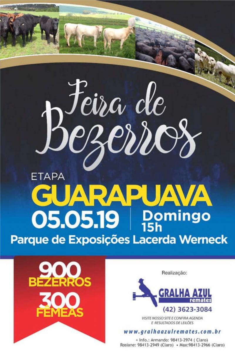  Feira Estadual de Bezerros de Guarapuava será neste domingo (5)