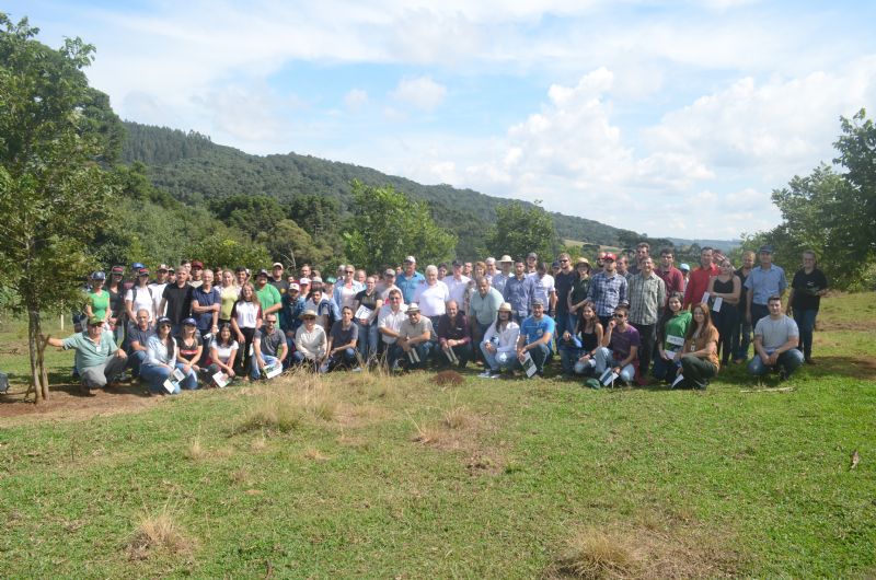 1º Dia de Campo Produção Nogueira Pecã