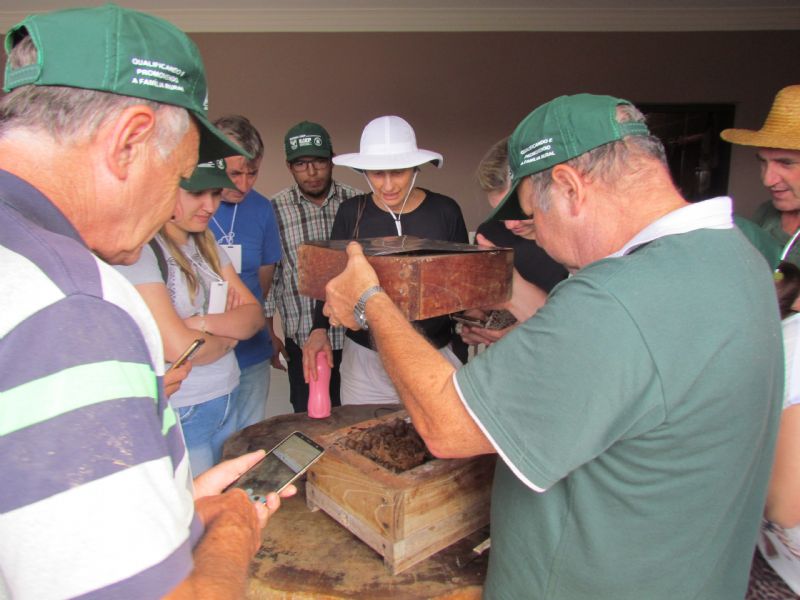 Curso aborda meliponicultura 