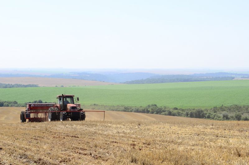 Começa dia 10 vazio sanitário da soja no Paraná