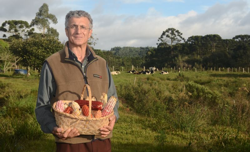 Cores de um reencontro com origens e lidas rurais