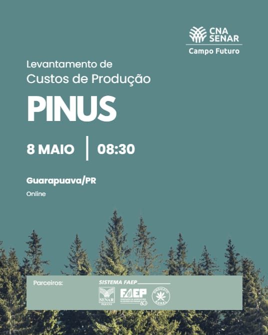 Sindicato Rural promove reunião para levantar custo de produção de pinus