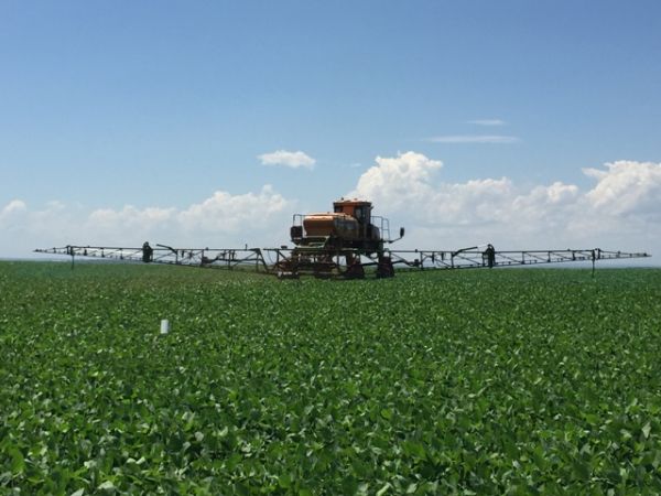 MAPA aborda cenário de uso de agrotóxicos no Brasil na Reunião de Pesquisa de Soja