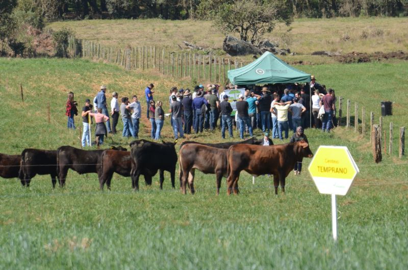  Dia de Campo Produção Integrada Fazenda Capão Redondo atraiu mais de 500 pessoas