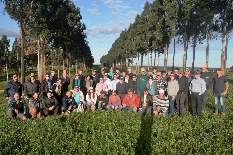 Juntos para fortalecer a integração lavoura-pecuária