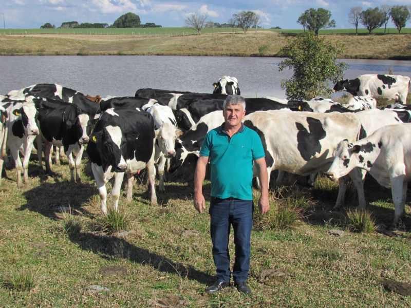  Pecuária leiteira do Paraná tem se destacado na produção nacional
