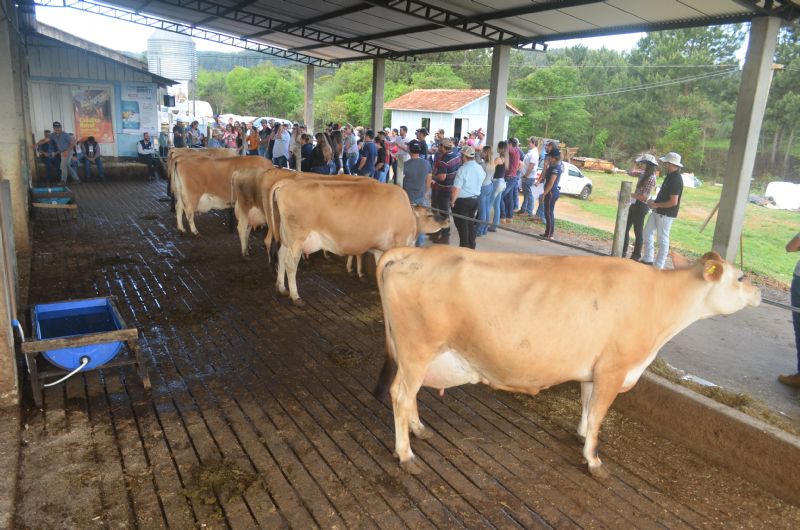 3º Simpósio Regional de Bovinocultura de Leite 