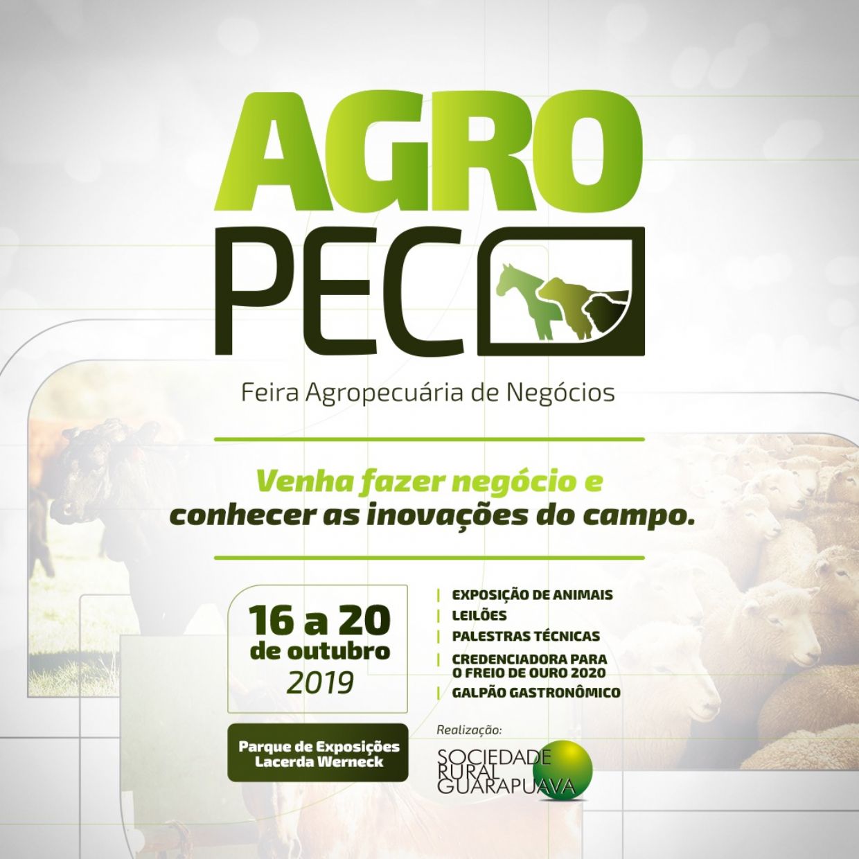 Agropec: palestras iniciam dia 17, destacando bovinos de corte