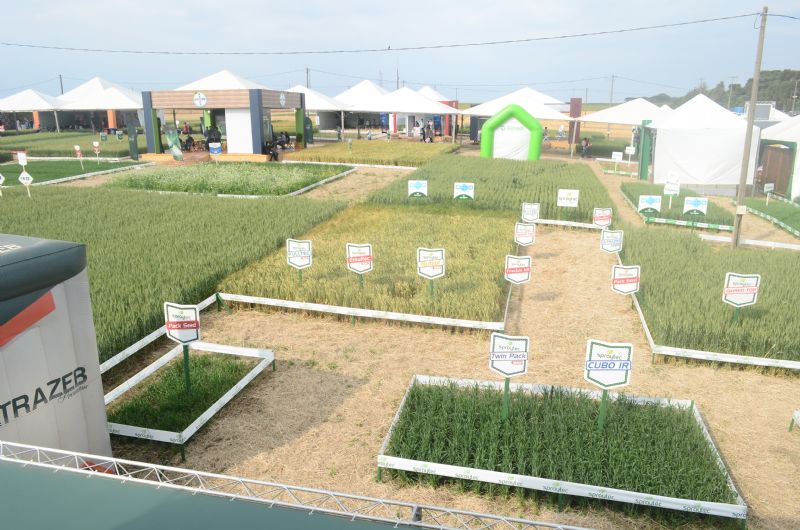 Wintershow 2019 teve como foco a inovação no agronegócio