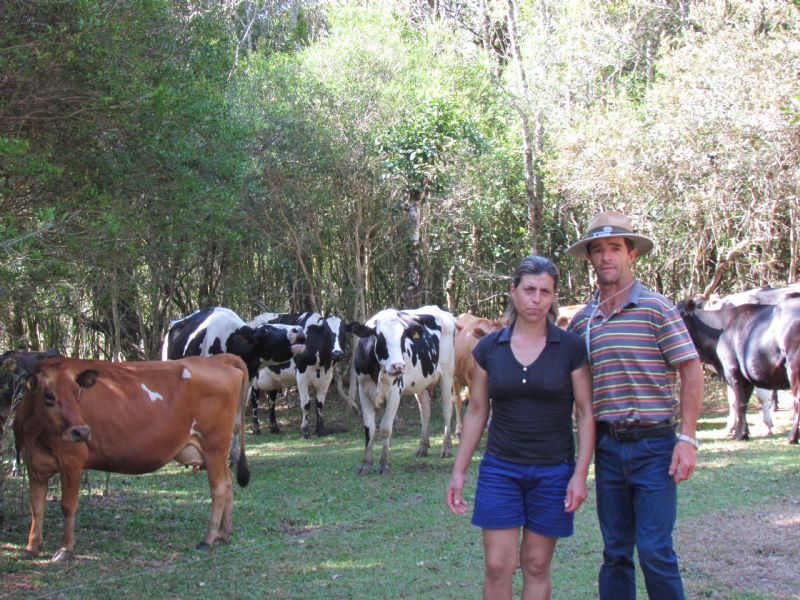 Seminário discute o sistema silvipastoril com espécies nativas
