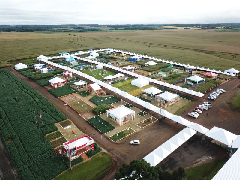 Em março, FAPA sedia Dia de Campo de Verão 2020