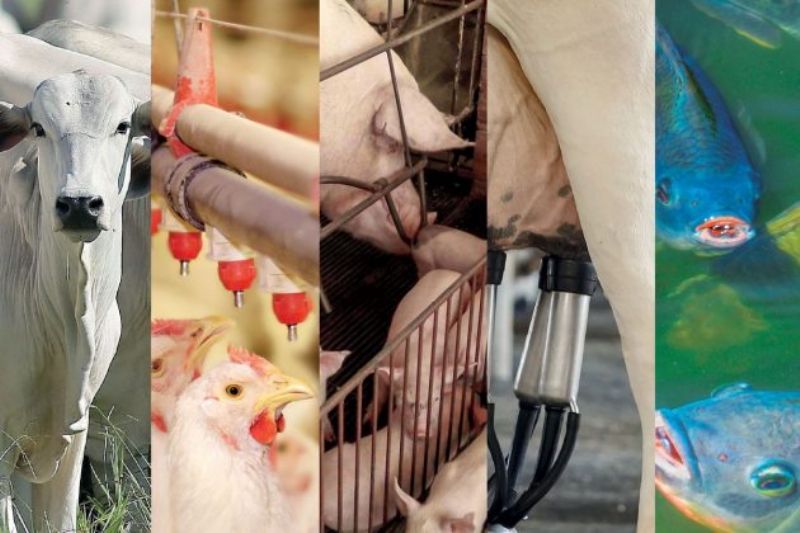 Governo estadual adia eventos do Programa Descomplica Rural