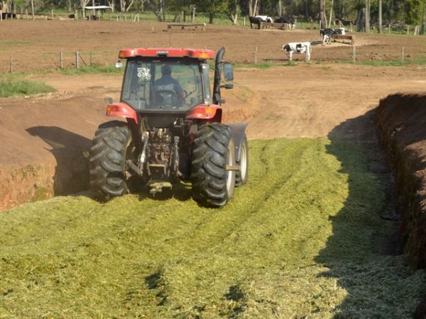 Técnica de movimento e tempo melhora produção de silagem