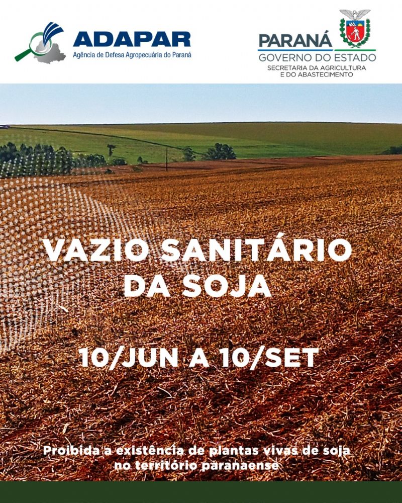 Vazio sanitário da soja vai até 10 de setembro no Paraná
