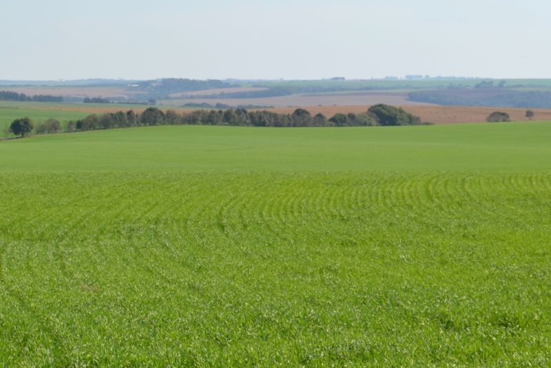 Após pedido da FAEP, governo adia obrigação da Nota Fiscal Eletrônica 