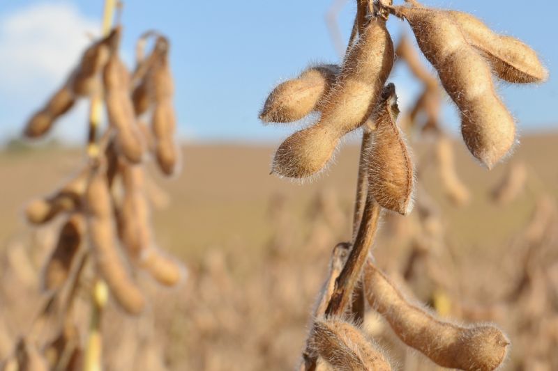 Bate-papo sobre seguro rural acontece no Sindicato Rural