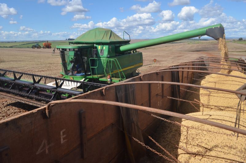 Agropecuária foi o único setor que cresceu no PIB de 2020; entenda