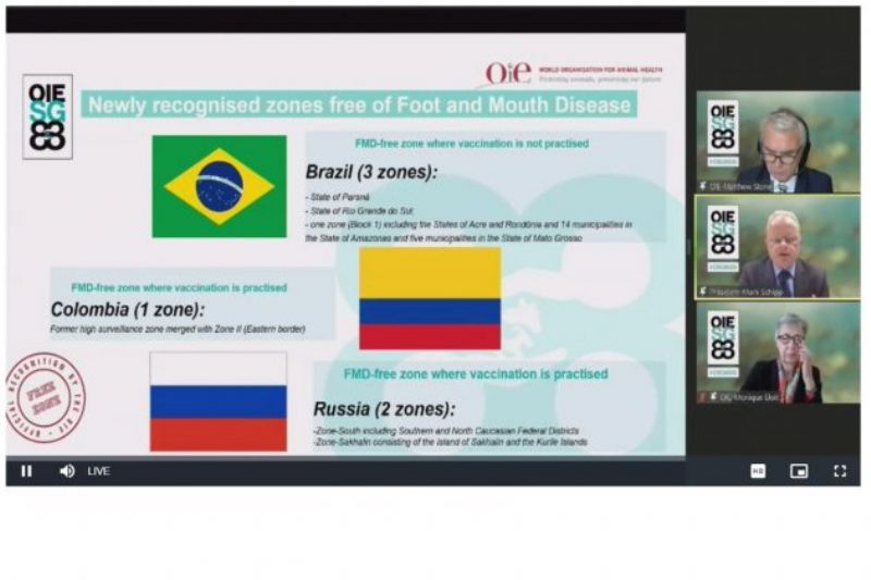 Paraná conquista o certificado de área livre de febre aftosa sem vacinação
