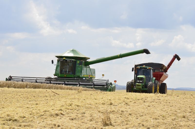 Cooperativa Agrária divulga instalação de maltaria dos Campos Gerais