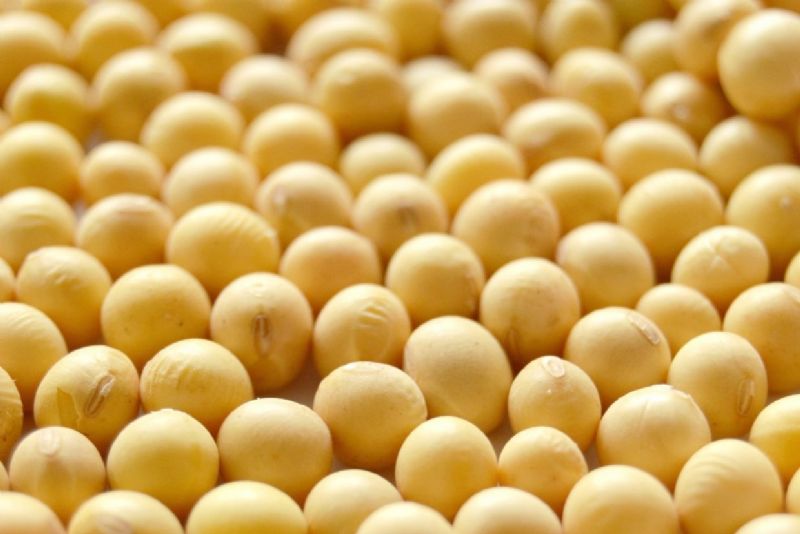 Sindicato Rural de Guarapuava discute custo de produção de grãos