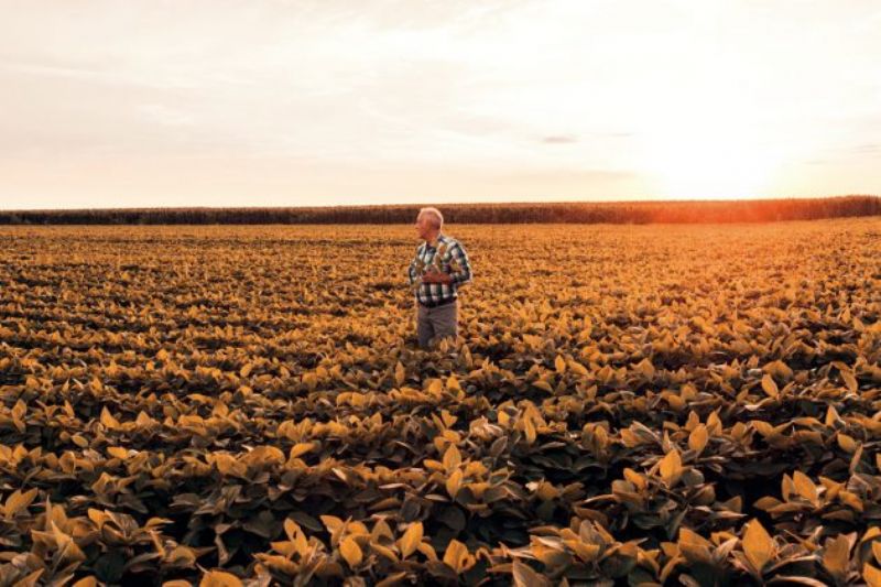 eSocial altera regras para informação sobre comercialização